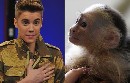 Alemania se queda con el mono de Justin Bieber
